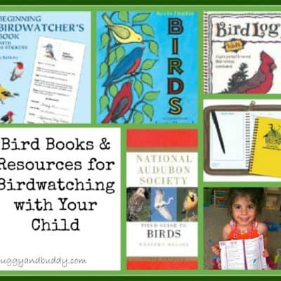 Bird Books & Resources for Adults & Children {Birding}