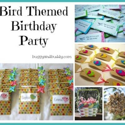 Bird Themed Birthday Party