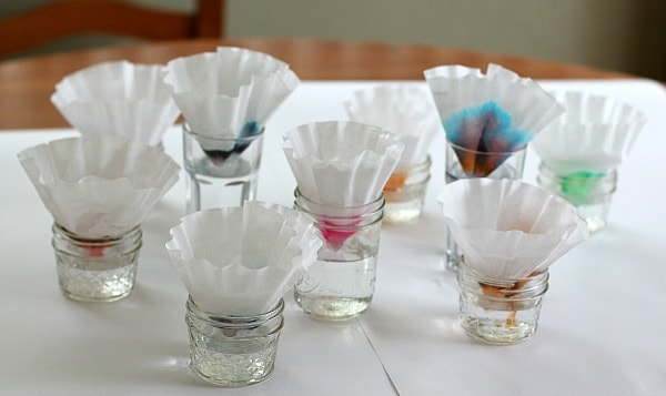 Chromatography experiment for kids