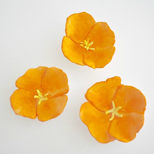Kid Craft: California Poppy Magnets~ Buggy and Buddy