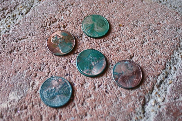 Chemical Reactions: Make a Penny Turn Green (with free printable