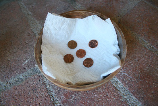 The pennies placed on the paper towel
