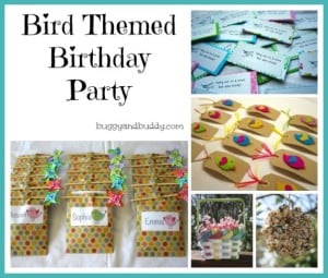 birdthemed-birthday
