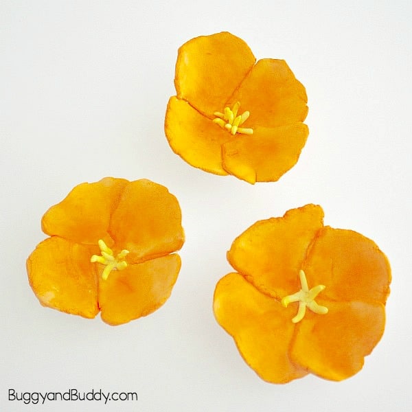 california poppy magnets- art and craft project for kids