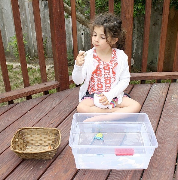 Sink or Float: Science for Kids from Buggy and Buddy