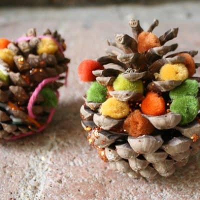 Fall Craft for Kids: Decorate Pinecones