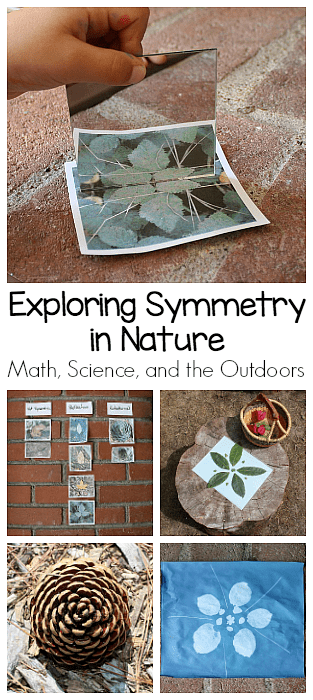 Exploring Symmetry in Nature: Math and Science for Kids