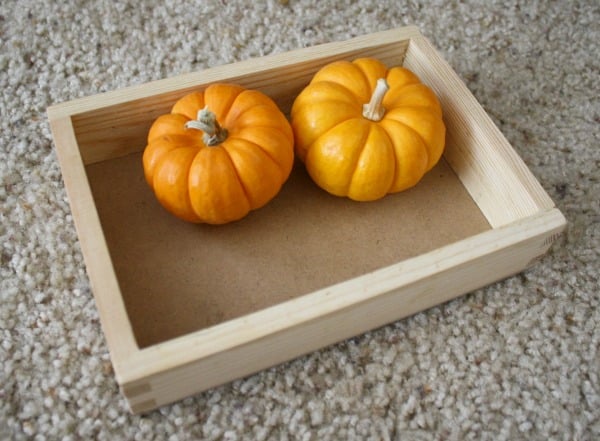 Halloween Invitation to Play with Mini Pumpkins & Felt Squares~ Buggy and Buddy
