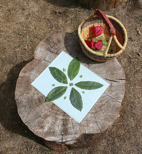 Create symmetrical art using natural objects and sun paper