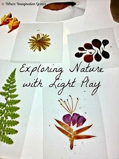 DIY Nature Slides and Light Play
