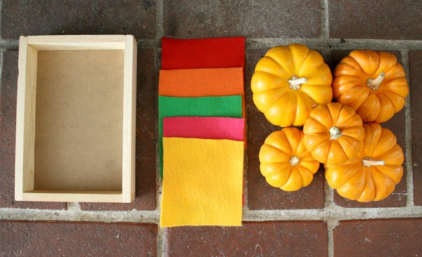 Invitation to Play with Mini Pumpkins & Felt Squares~ Buggy and Buddy