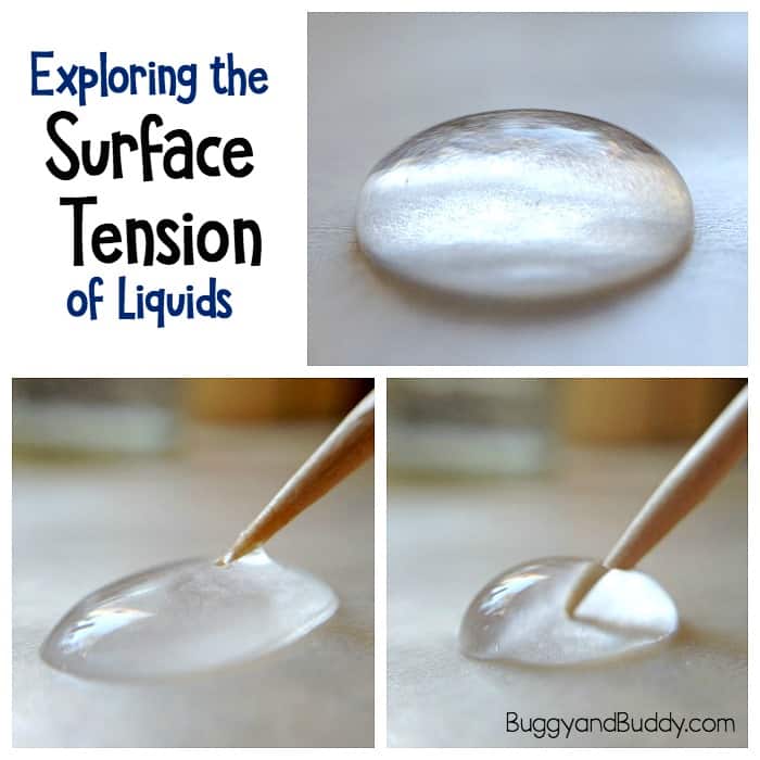 science experiment for kids: exploring the surface tension of different liquids