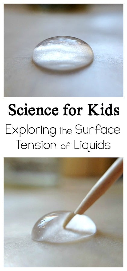 science experiment for kids- explore the surface tension of water and other liquids