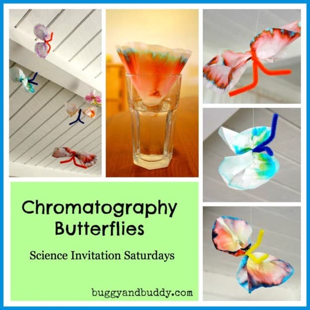 Chromatography Butterfly Science Experiment for Kids~ Buggy and Buddy