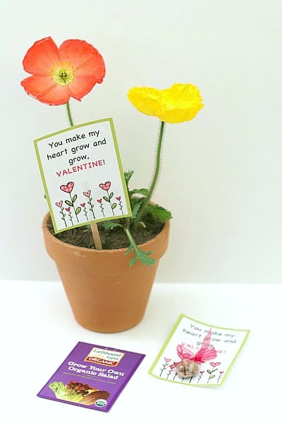 Plant Valentine and Seed Homemade Valentine for Kids to Make