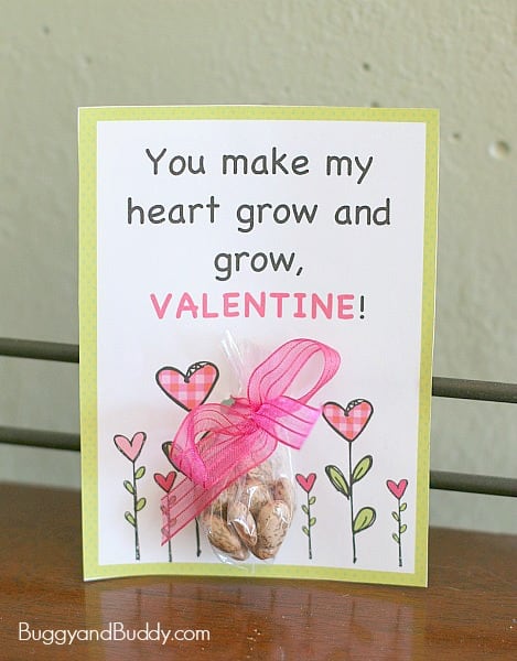 Homemade Valentine for Kids Using Seeds- and it's candy-free! (Free Printable)~ BuggyandBuddy.com