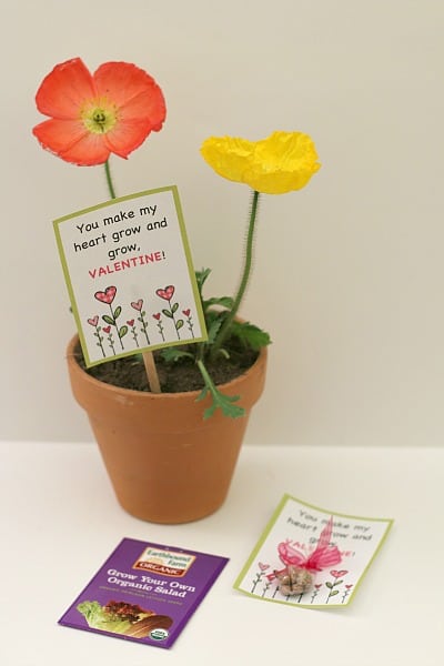 Homemade Plant and Seeds Valentines for Kids~ Buggy and Buddy