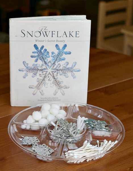 Winter Crafts for Kids: Creating Symmetrical Snowflakes~ Buggy and Buddy