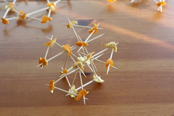 Building with Orange Peels and Toothpicks~ Buggy and Buddy