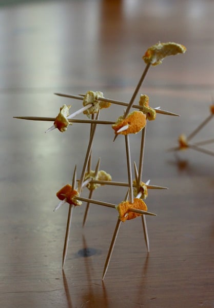Building with Toothpicks and Orange Peels~ Buggy and Buddy