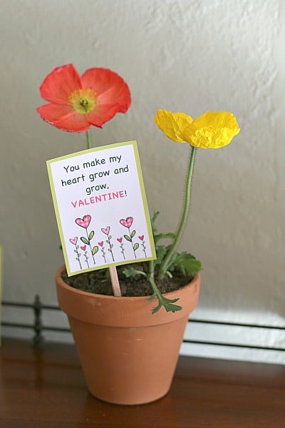 Potted Plant Valentine with free printable (Makes a great teacher valentine!)