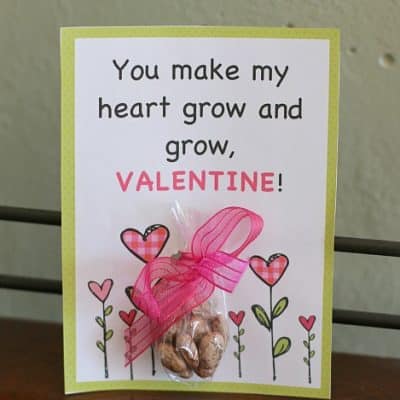 Homemade Valentines for Kids: Plant and Seed Valentine {Free Printable}