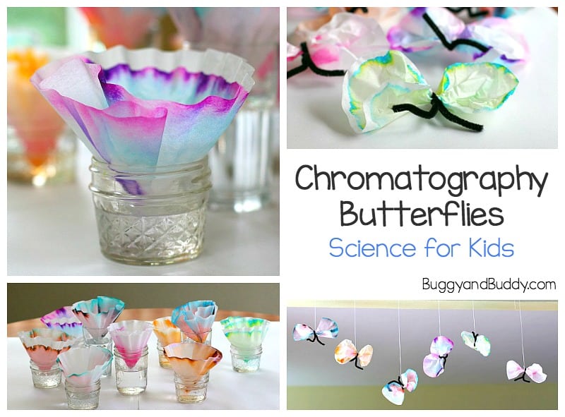 STEM / STEAM / Science for Kids: Chromatography Butterfly Craft using coffee filters and markers