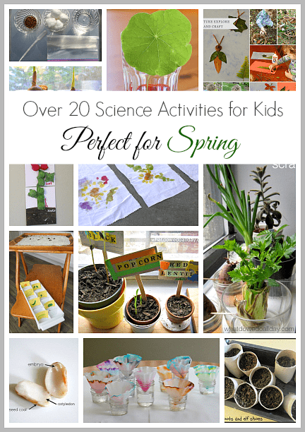 20+ Science Activities for Kids that are Perfect for Spring! 