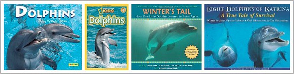 Children's Books about Dolphins