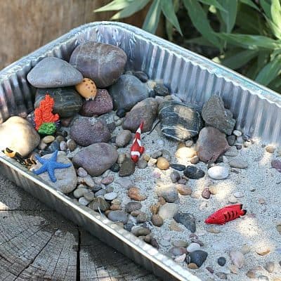 Tide Pool Science Experiment for Kids