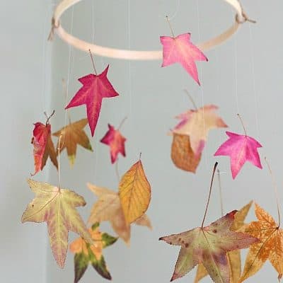How to Preserve Leaves: Fun Fall Craft for Kids