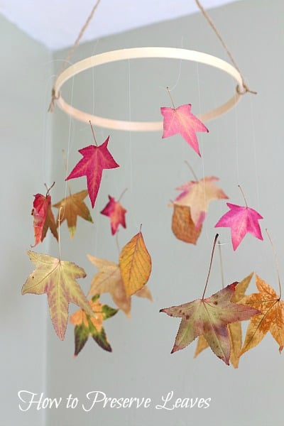 How to Preserve Leaves: Fun Fall Craft for Kids - Buggy and Buddy