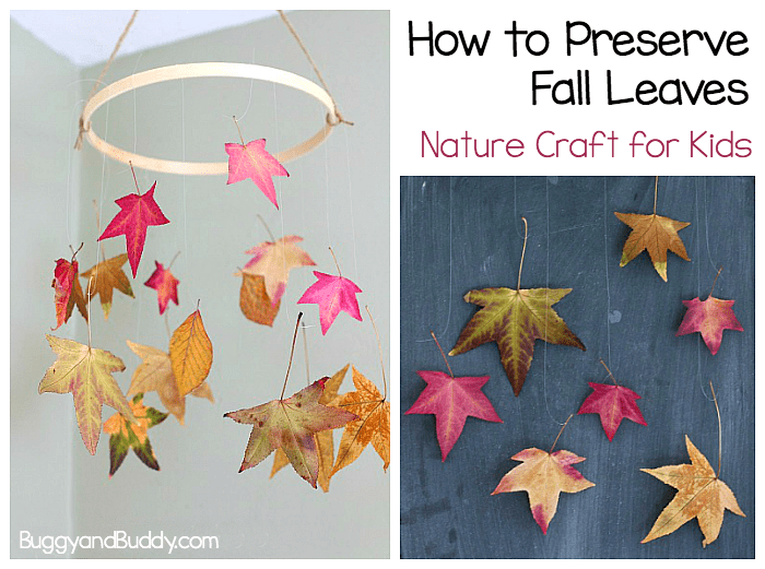 How to Preserve Fall Leaves: Fall Nature Craft for Kids