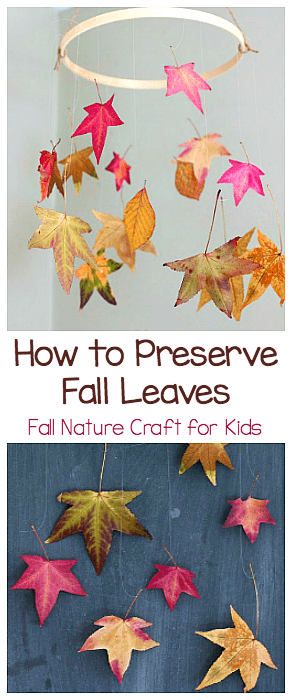 How to Preserve Fall Leaves: Fall Nature Craft for Kids