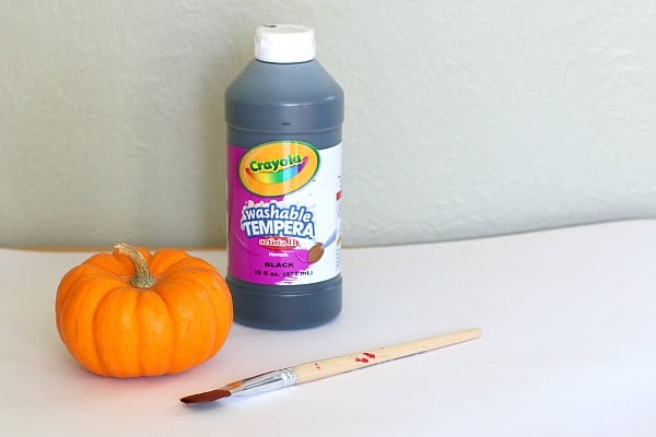 Use black paint to make your spider pumpkin craft
