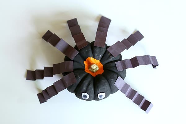 glue 8 legs onto your spider pumpkin