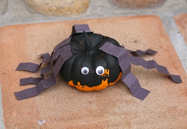 Halloween Craft for Preschooler: Spider Pumpkin- BuggyandBuddy.com