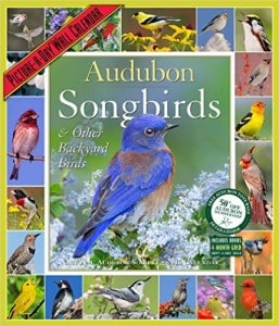 audubon songbirds calendar