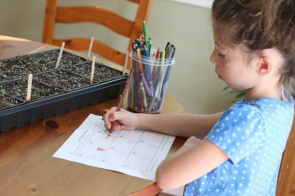 Gardening with Kids: Growing Seeds Indoors (with free printable observation sheet)
