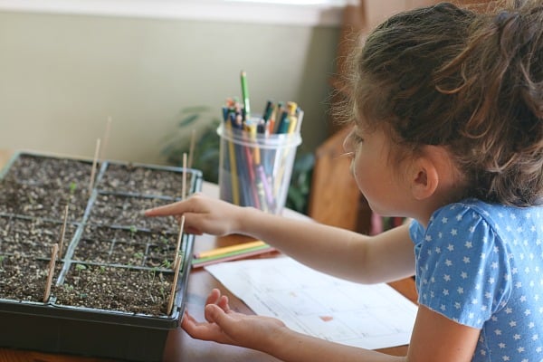Gardening with Kids: Seed Sprouting with Free Printable Plant Journal