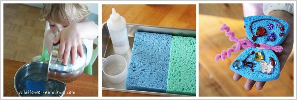 cool ways for kids to use sponges