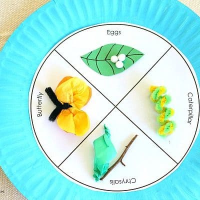 Butterfly Life Cycle Paper Plate Craft for Kids (w/ FREE template)~ BuggyandBuddy.com