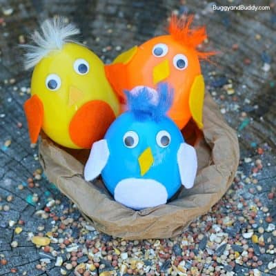 Baby Bird Plastic Egg Shakers Craft for Kids