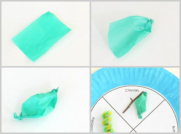 tissue paper chrysalis for butterfly life cycle craft