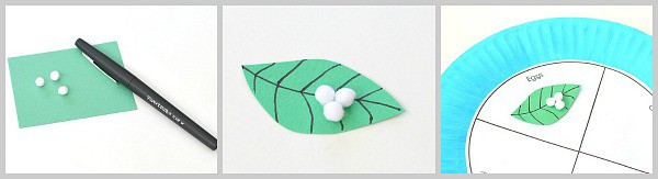 paper leaf and eggs for butterfly craft