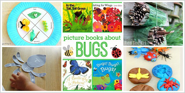 insect activities for kids