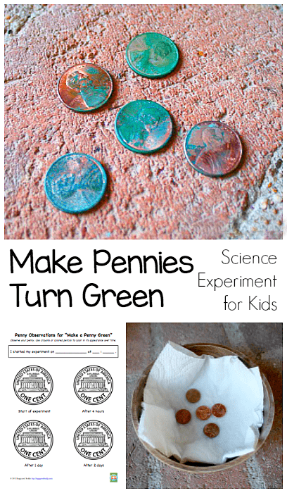 Science Experiments for Kids: How to make a penny green.