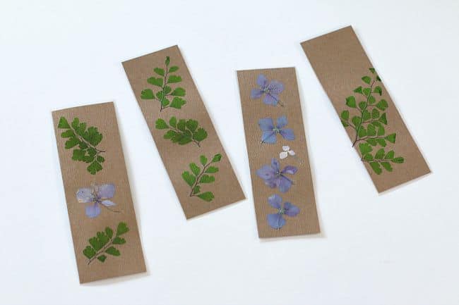 pressed flower bookmark craft for kids