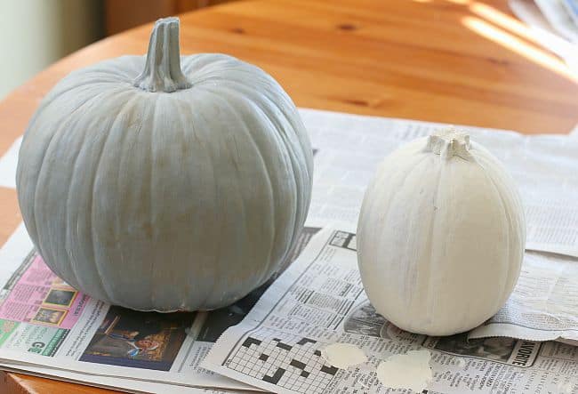 paint your pumpkins to match the characters in Possum Magic