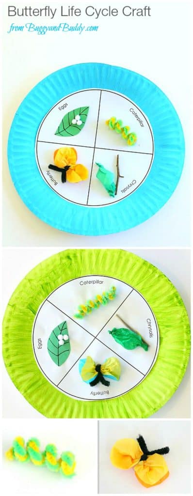 butterfly life cycle paper plate craft